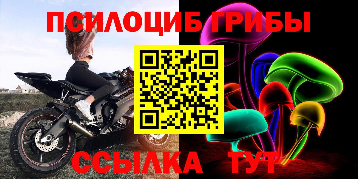 Псилоцибиновые грибы прущие грибы Лосино-Петровский